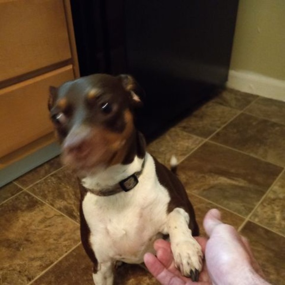 Meet your Posher, Brian - Picture 1 of 1